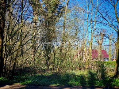 Maison à vendre 10 pièces de 261,85 m² à Auchel