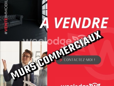 Local commercial à vendre de 209 m² à Cornebarrieu