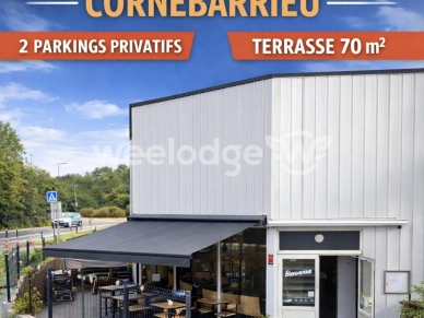 Local commercial à vendre de 209 m² à Cornebarrieu