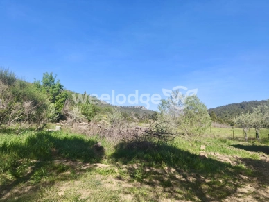 Terrain à vendre de 2940 m² à Albas