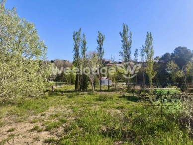 Terrain à vendre de 2940 m² à Albas