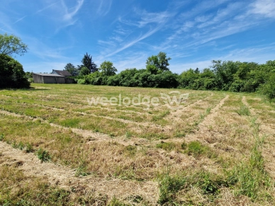 Terrain à vendre de 3924 m² à Saint-Gaultier