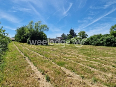Terrain à vendre de 3924 m² à Saint-Gaultier