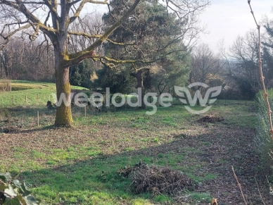 Terrain vendu de 638 m² à Vernou-la-Celle-sur-Seine