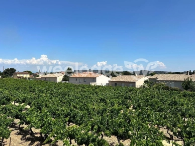 Terrain à vendre de 510 m² à Rochefort-du-Gard