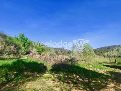 Terrain à vendre de 2940 m² à Albas