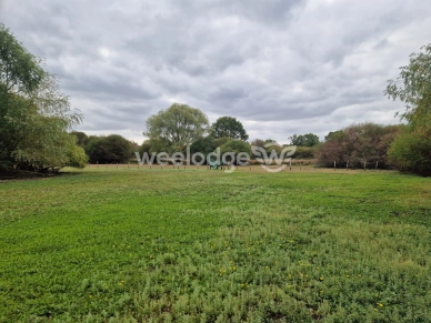 Terrain à vendre de 81000 m² à Velles
