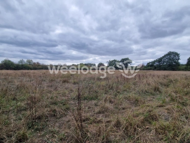 Terrain à vendre de 81000 m² à Velles