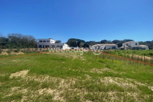 Terrain à vendre de 1437 m² à Saint-Hilaire-de-Beauvoir