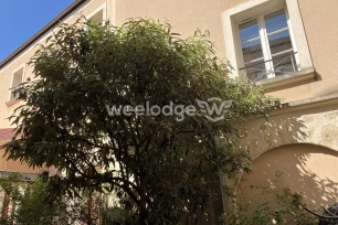 Appartement vendu 1 pièces de 35,86 m² à Andrésy